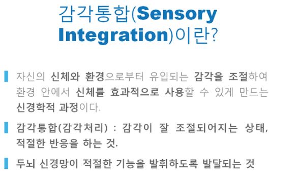 감각 통합과 뇌의 발달