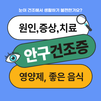 안구건조증 증상, 좋은 음식, 영양제 조합