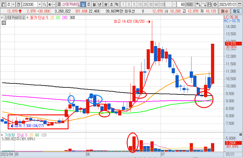 7월 21일 신테카바이오 주가 일봉 차트 분석
