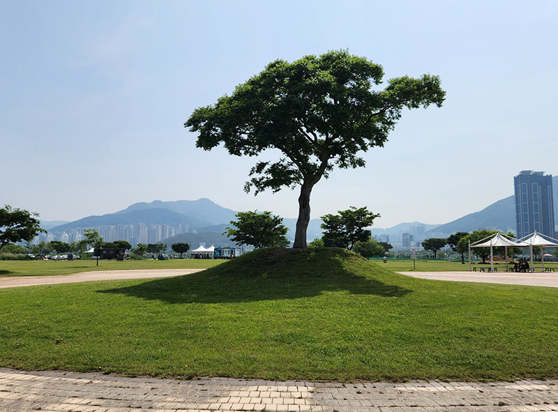 부산 강서구 대저생태공원 파크골프장 소개