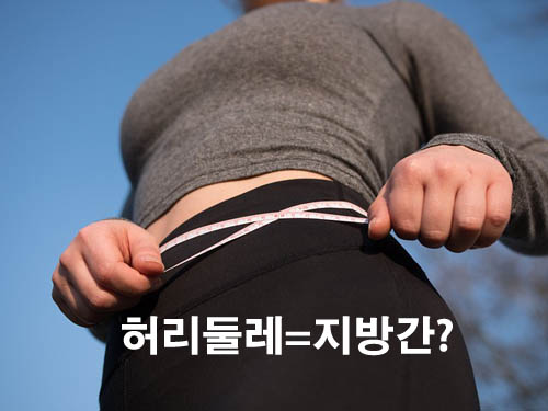 허리둘레와 지방간, 복부비만과 지방간