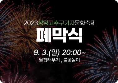 청양고추구기자축제