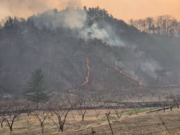 안동 산불 실시간 CCTV로 안전 대피 준비
