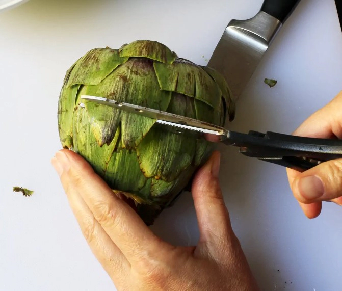 아티초크 손질법