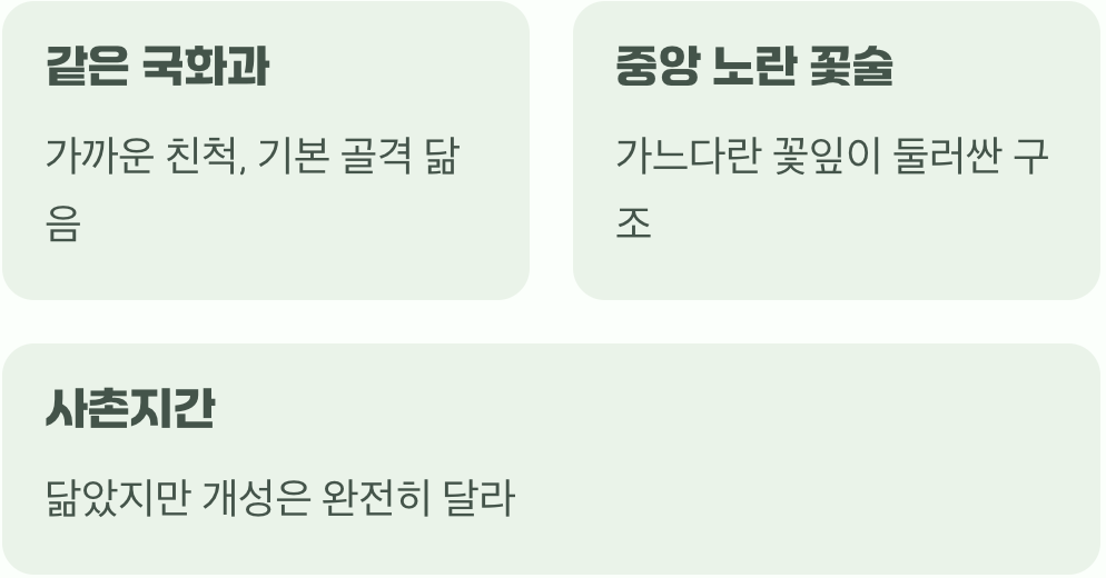 비슷해 보이는 건 당연해요