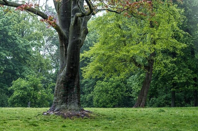 공복 유산소 최적의 시간은? 