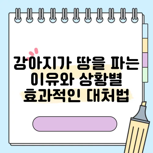 강아지가 땅을 파는 이유와 상황별 효과적인 대처법