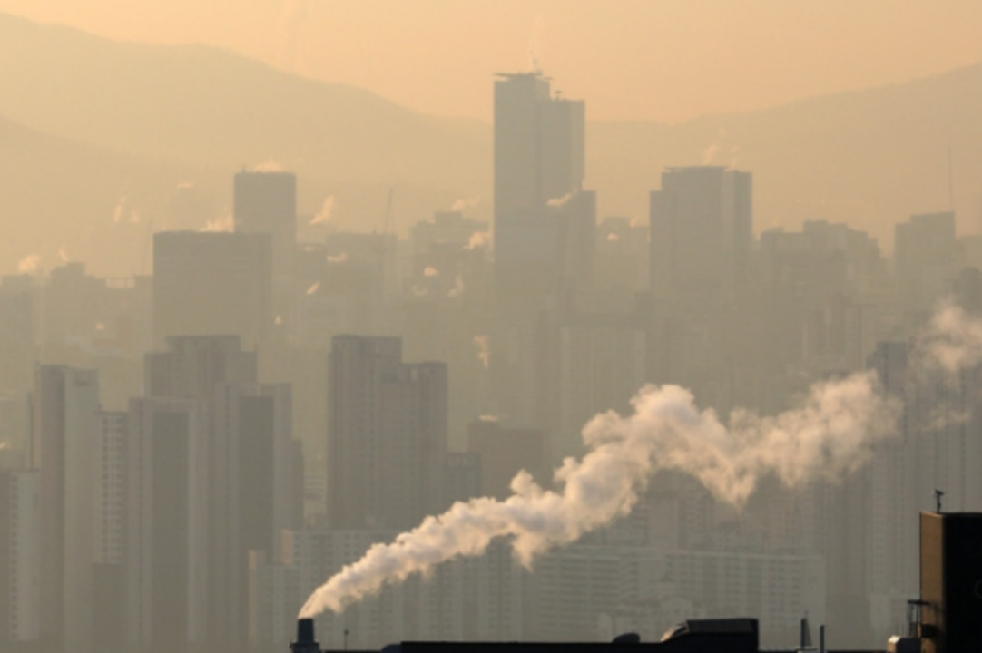 개과천선의 내맘정보공유 미세먼지/황사 (원인, 신체에 끼치는 영향, 방지대책 및 국가 정책 상황)