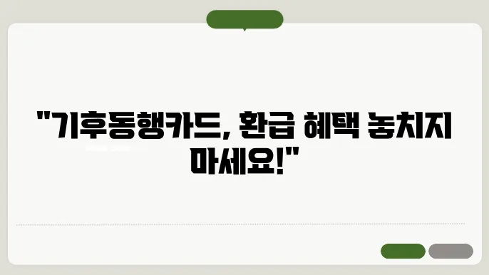 기후동행카드 환급