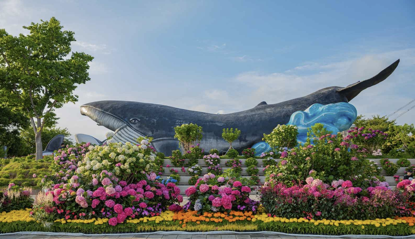 장생포 고래문화마을 수국페스티벌