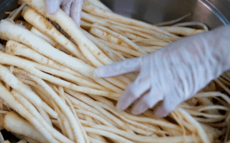 정선사위
