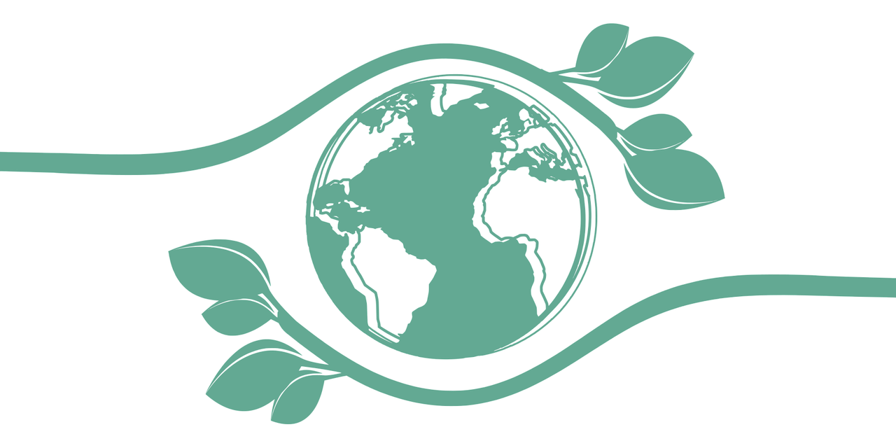 친환경 대체 빨대 이미지