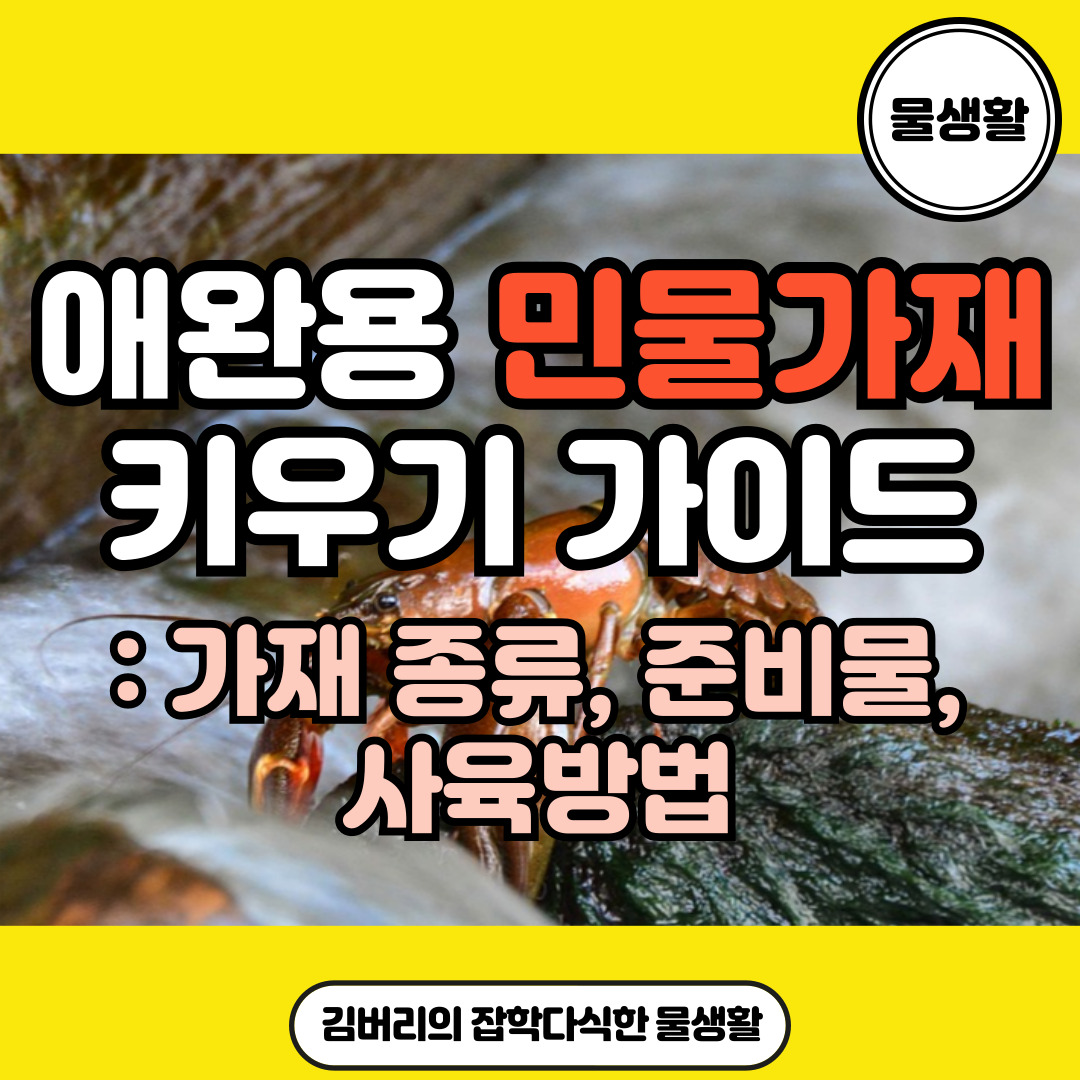 민물가재 키우기