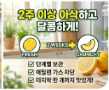 참외 보관법