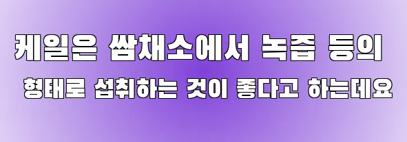 케일은 쌈채소에서 녹즙 등의 형태로 섭취하는 것이 좋다고 하는데요