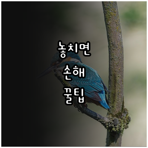 석탄 산업 2025 폐광 감축 지원금..