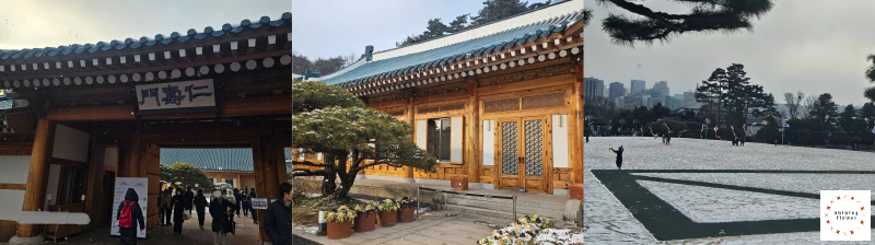 청와대 관저 입구-청와대 관저 내부-청와대 앞마당 연날리기 행사