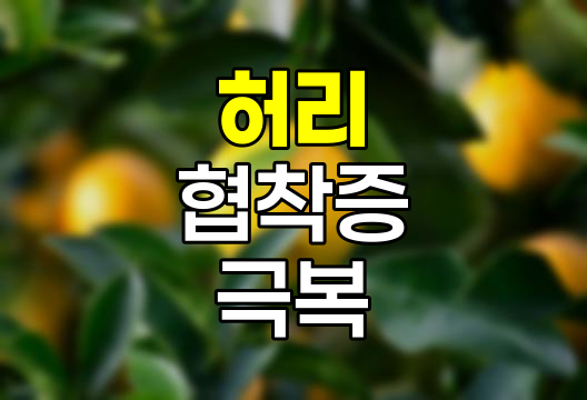 허리 협착증 극복 전략