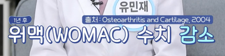 콘드로이친 효능