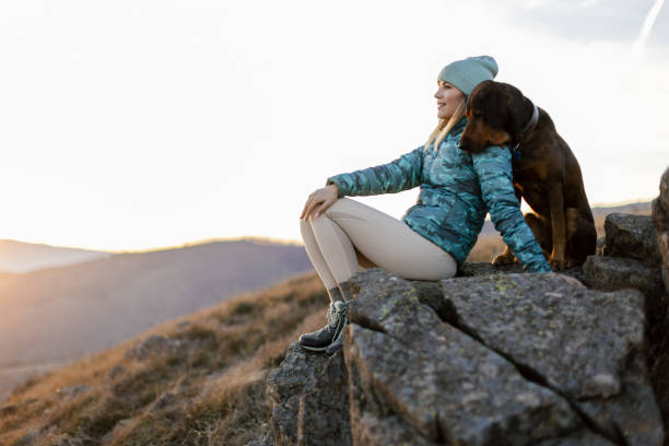 강아지와 캠핑을 떠나야 하는 이유