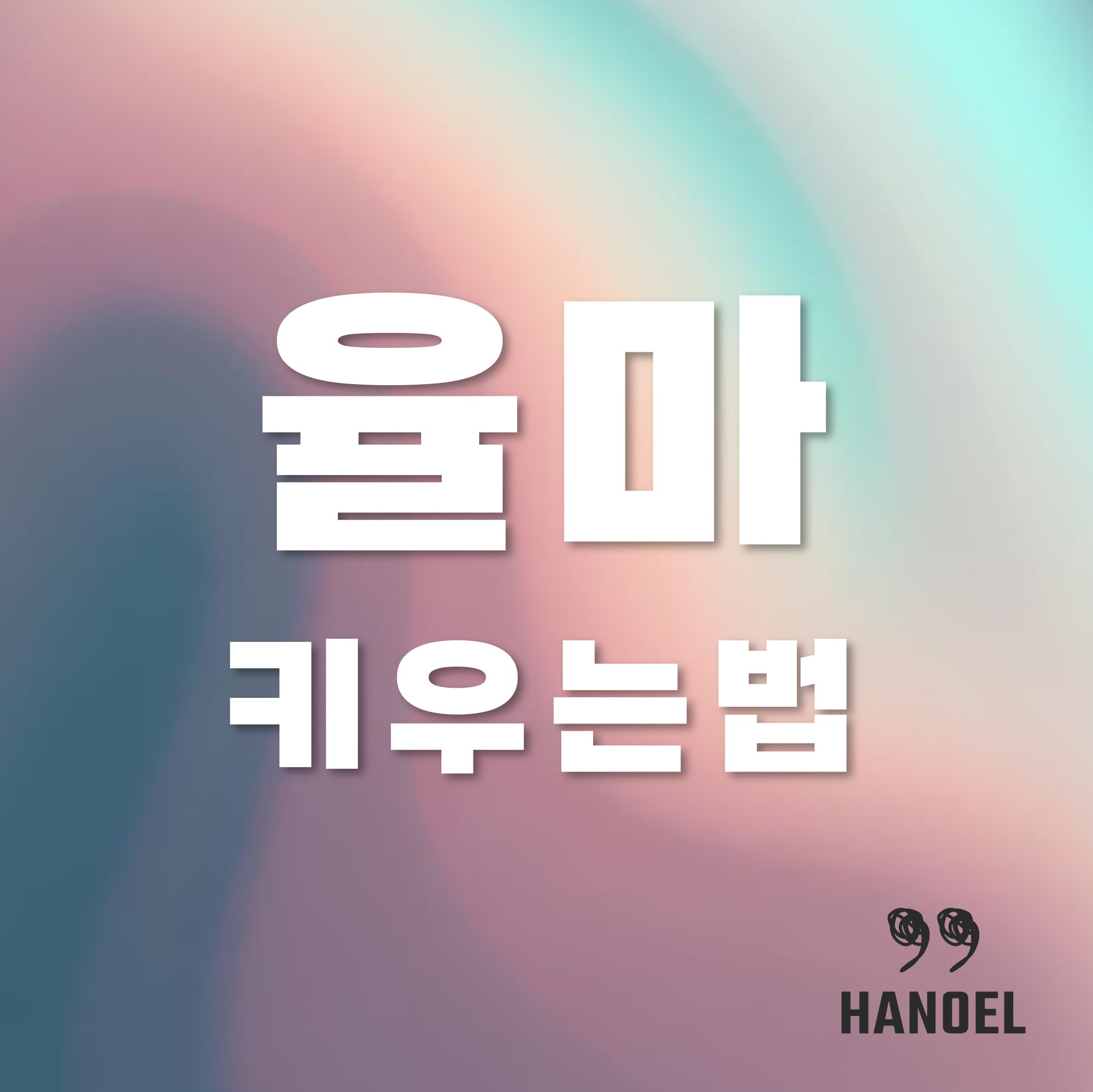 율마키우는법&#44; 그라데이션색