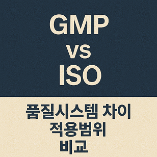 GMP vs ISO 관련 사진