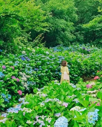 7월 국내 가족여행지 추천 베스트 코스 완벽 가이드_19