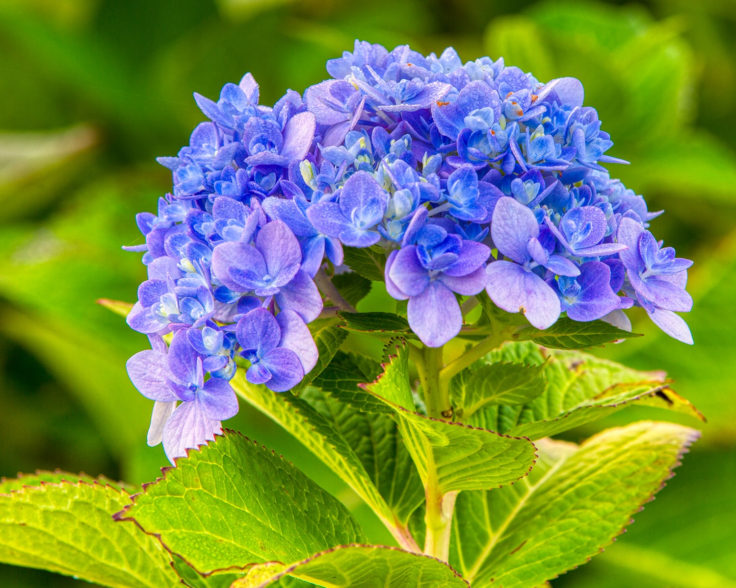 구리 한강공원- 26