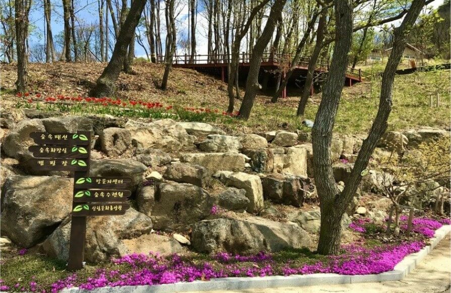 고대산자연휴양림 전망대