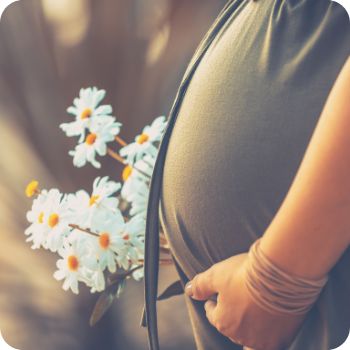 임신하는 꿈&amp;#44; 임신 꿈