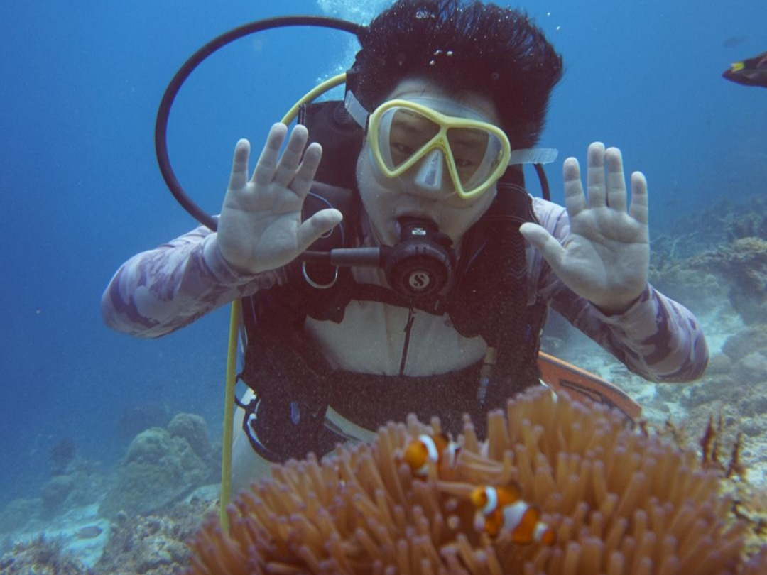 세부 스쿠버다이빙 사진