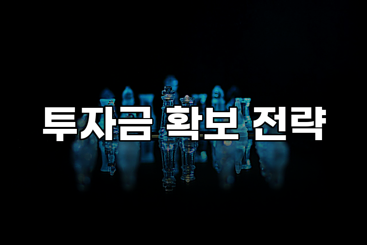 투자금 확보 전략