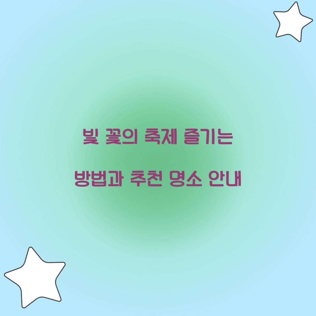 빛 꽃의 축제