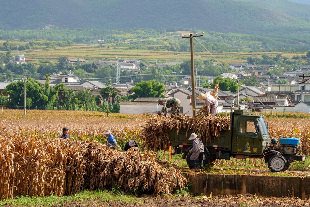 Farmers' allowance