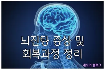 뇌진탕 초기 증상 후유증 으로_17