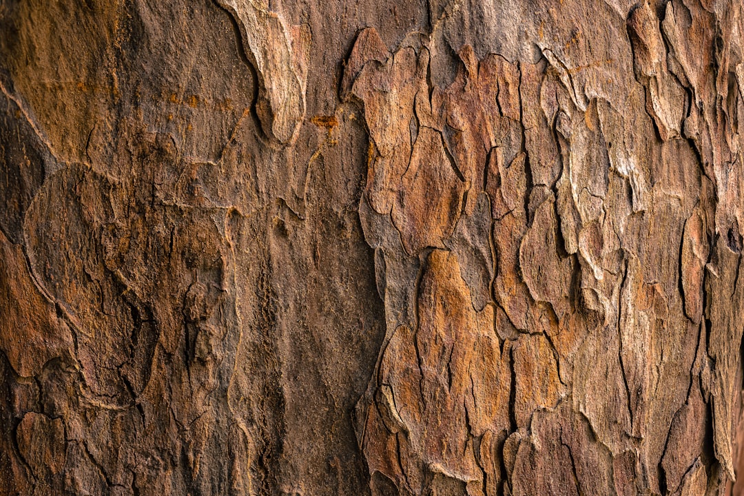 Natural