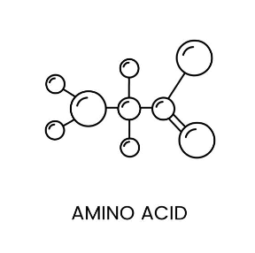 피로회복에 좋은 아미노산