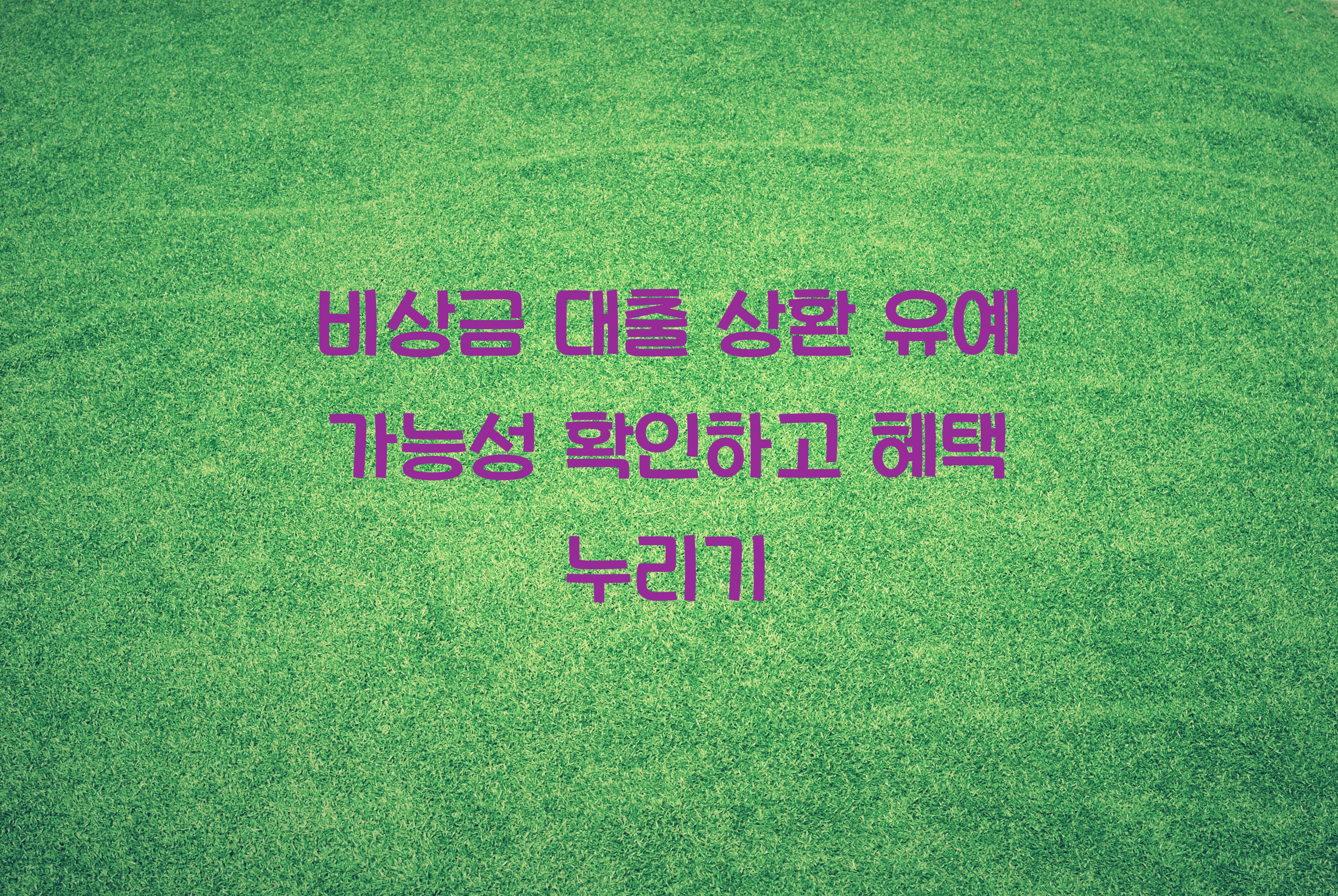 비상금 대출 상환 유예 가능성