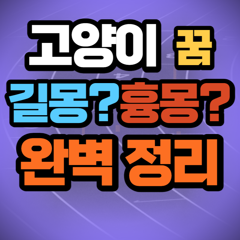 고양이 꿈 해몽 (1)