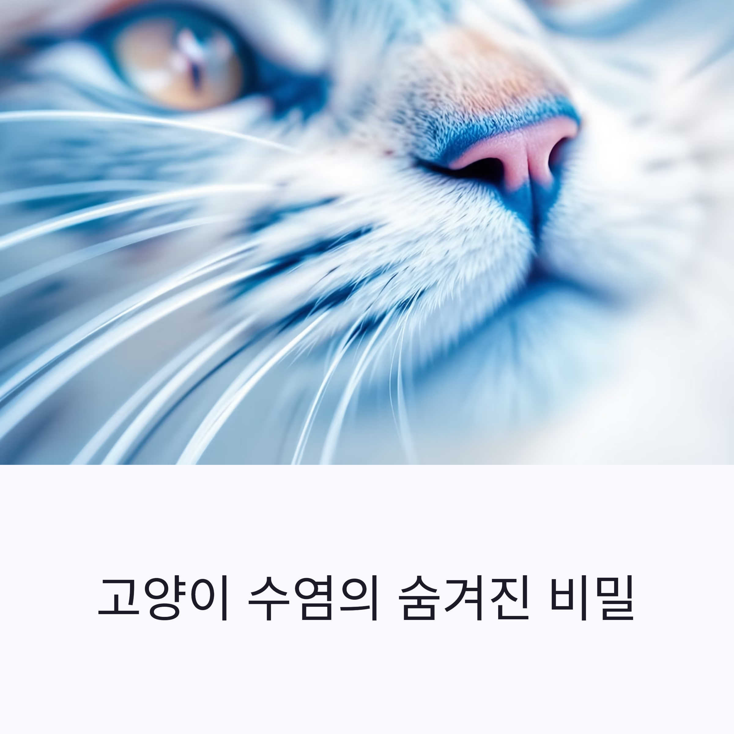 고양이 수염의 숨겨진 비밀