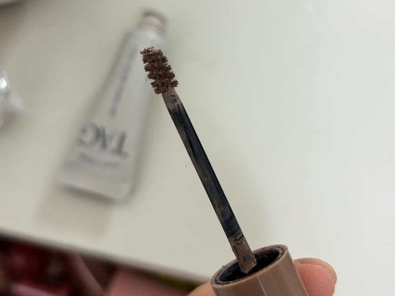 다이소 태그 브로우 카라 솔 사진