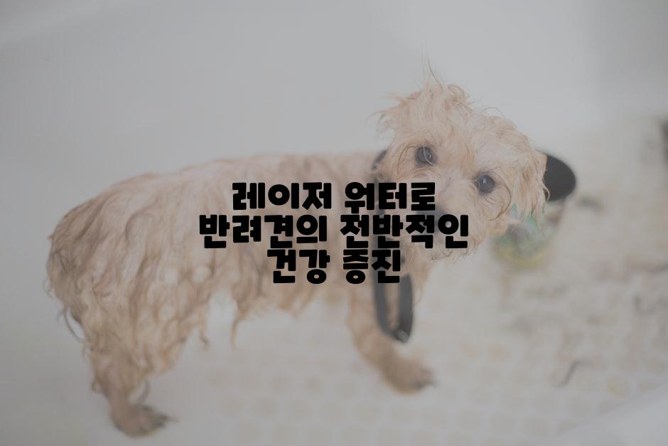 레이저 워터로 반려견의 전반적인 건강 증진