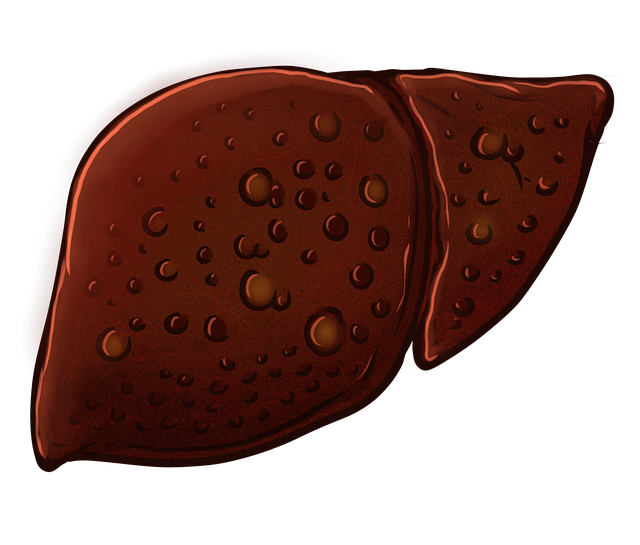 간경변, 간 경화증