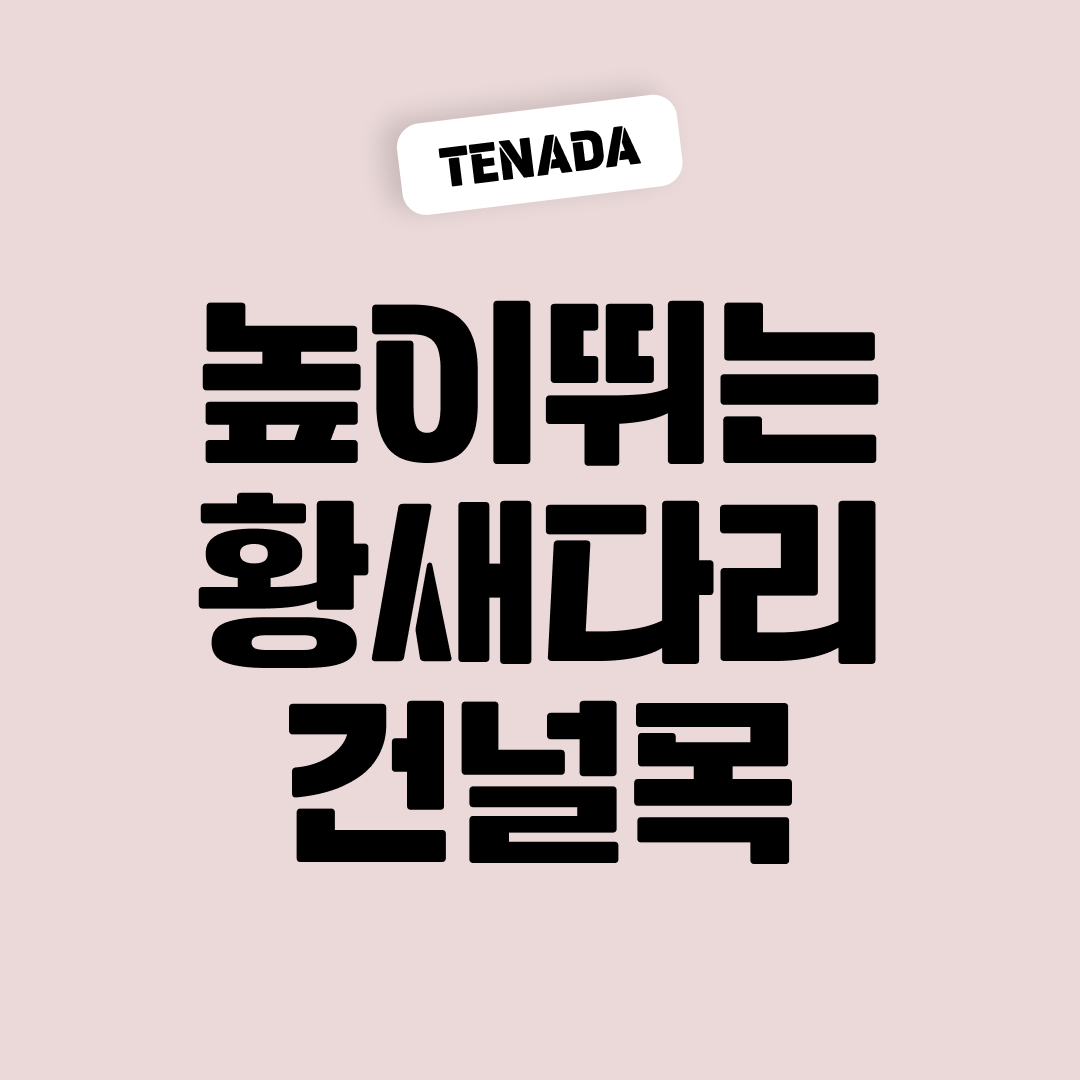 무료 한글폰트 태나다체 다운로드 - 제목용 서체 추천