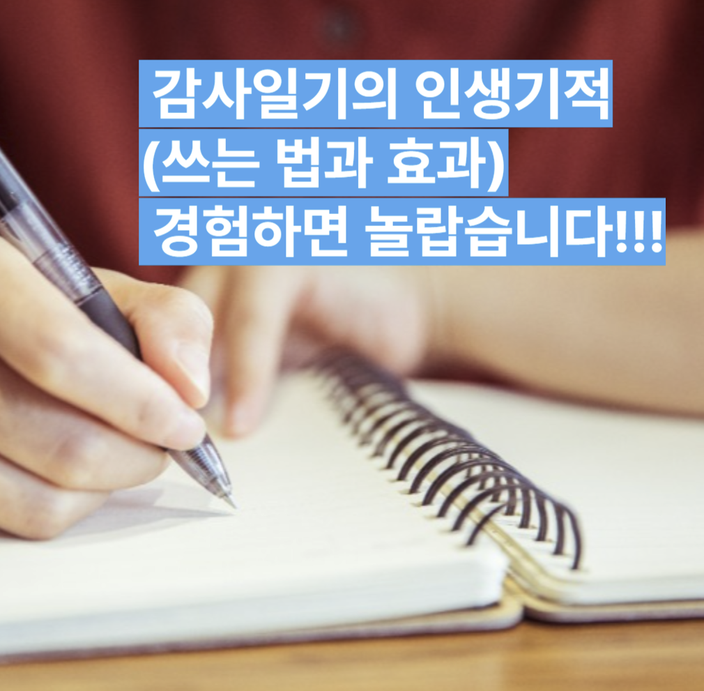 감사일기