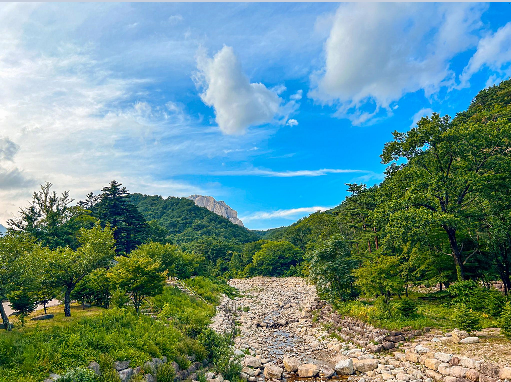 설악산 오픈런 케이블카