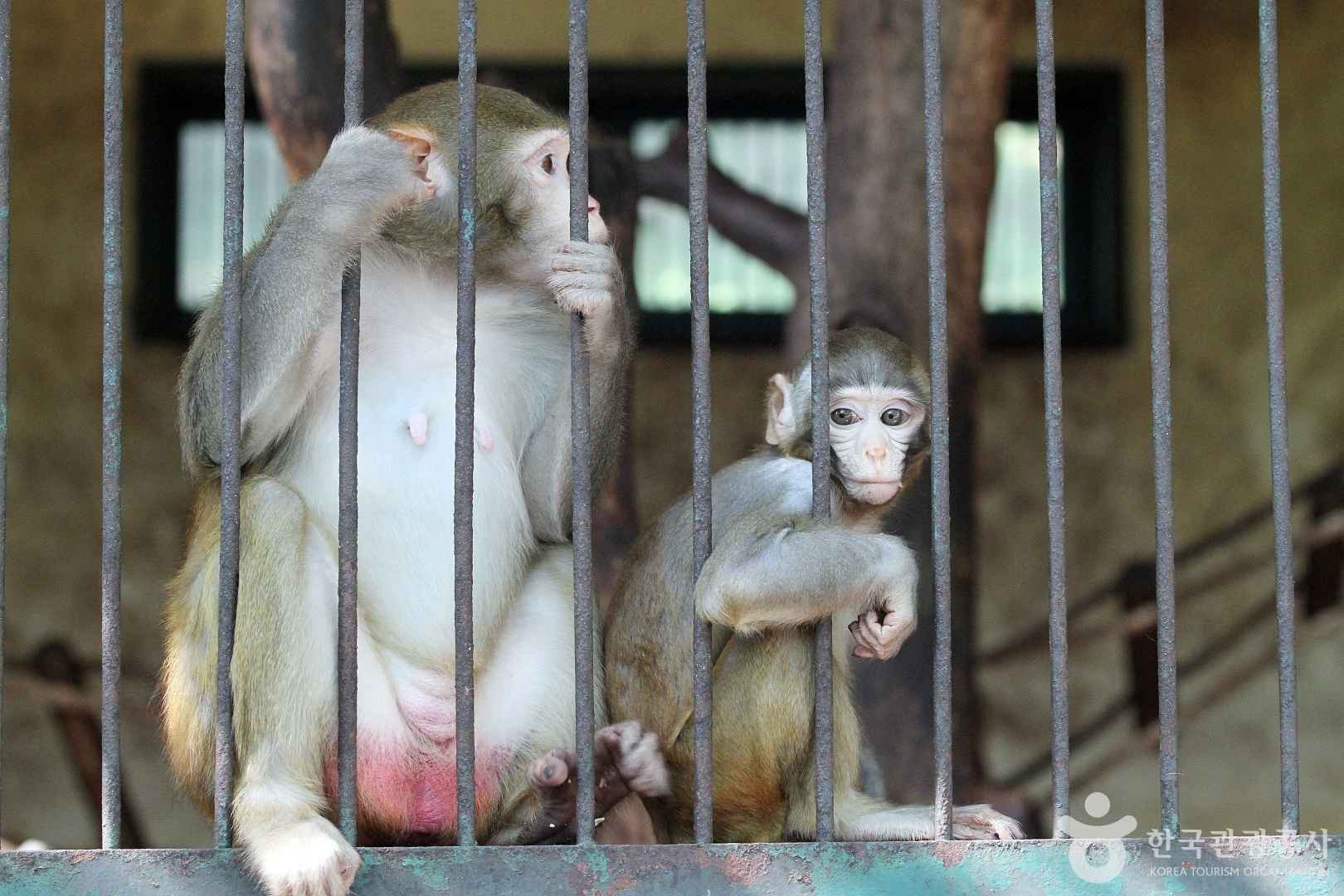 진양호동물원