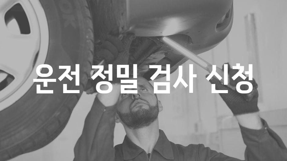 Vehicle Inspection 1