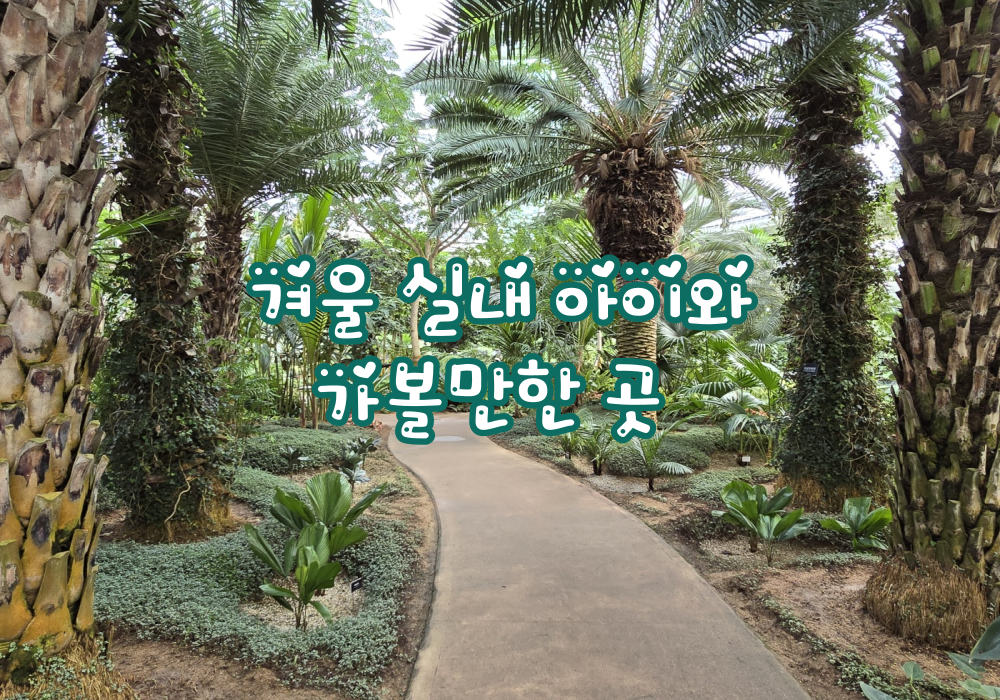 겨울 실내 아이와 가볼만한곳 부천호수공원 식물원 수피아