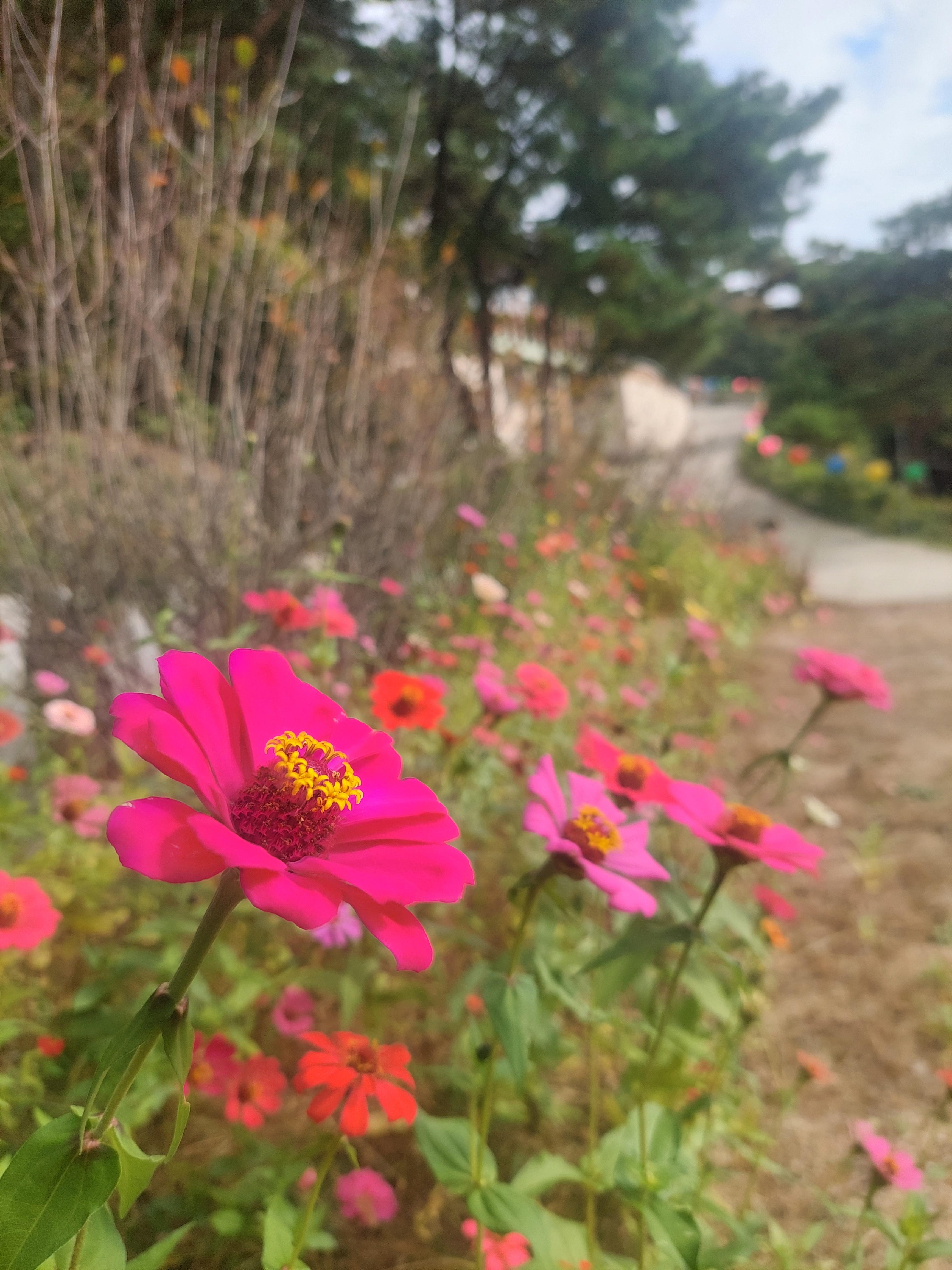 우이령길